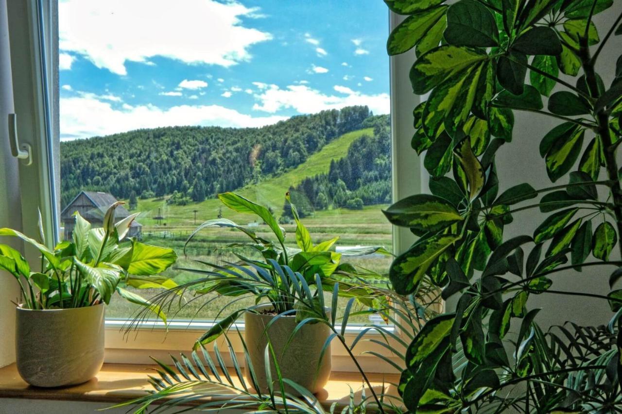 诺瓦沃什 Prenocisca Miklavcic酒店 外观 照片